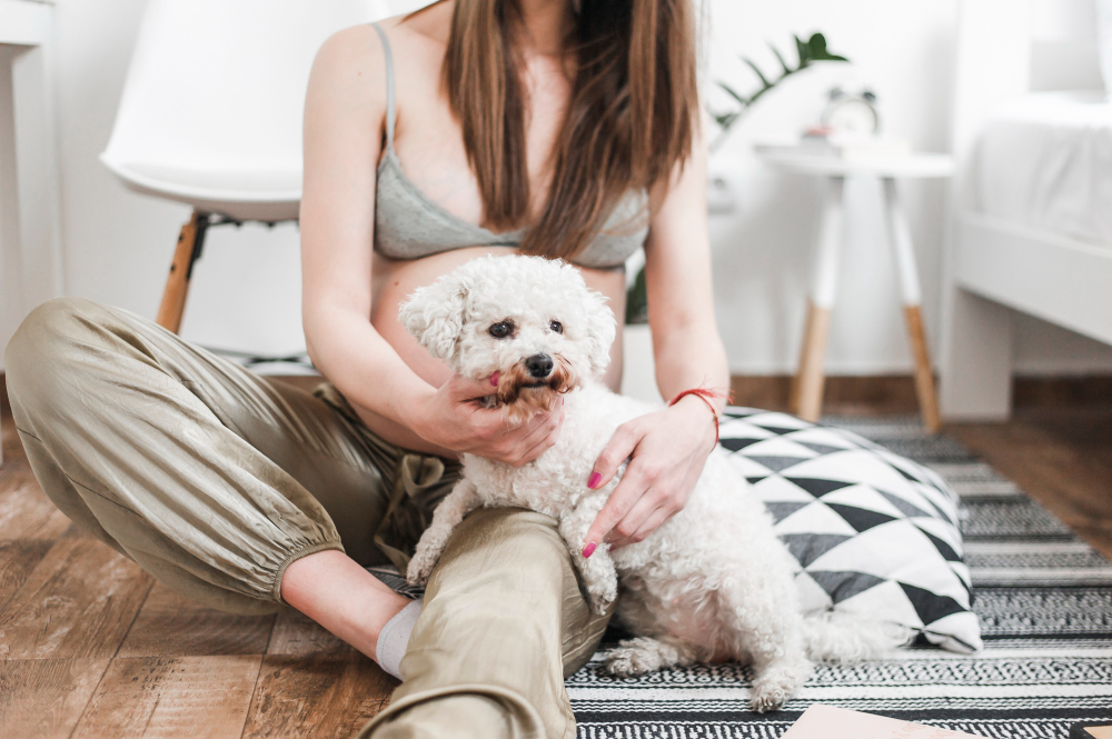 Choosing the Right Dog for Your Lifestyle