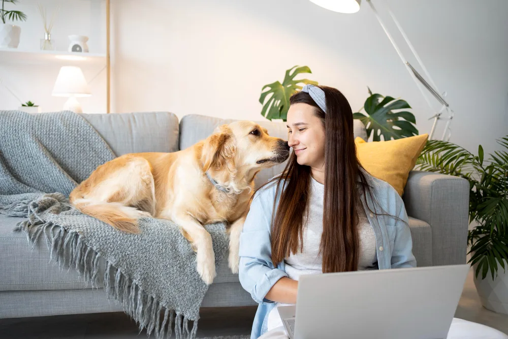 Top Tips to Help You Select the Perfect Pet Companion