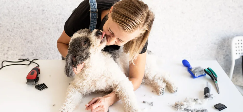 Mobile Dog Grooming in Columbus OH: Why It's Best for Puppies