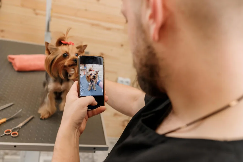 What’s Included in a Mobile Dog Grooming Appointment?